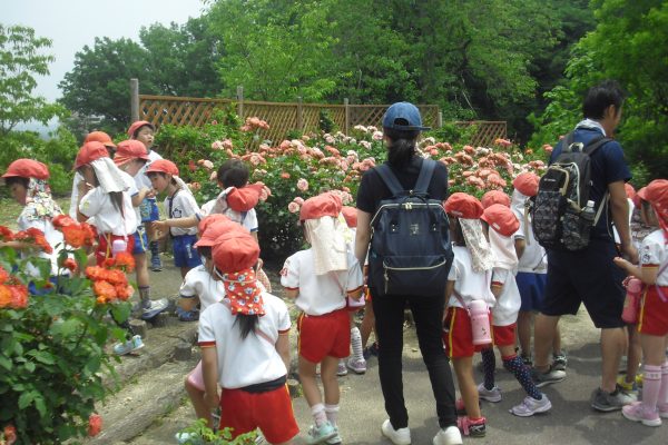 まふみ幼稚園のブログ