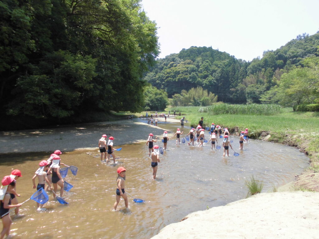 まふみ幼稚園のブログ