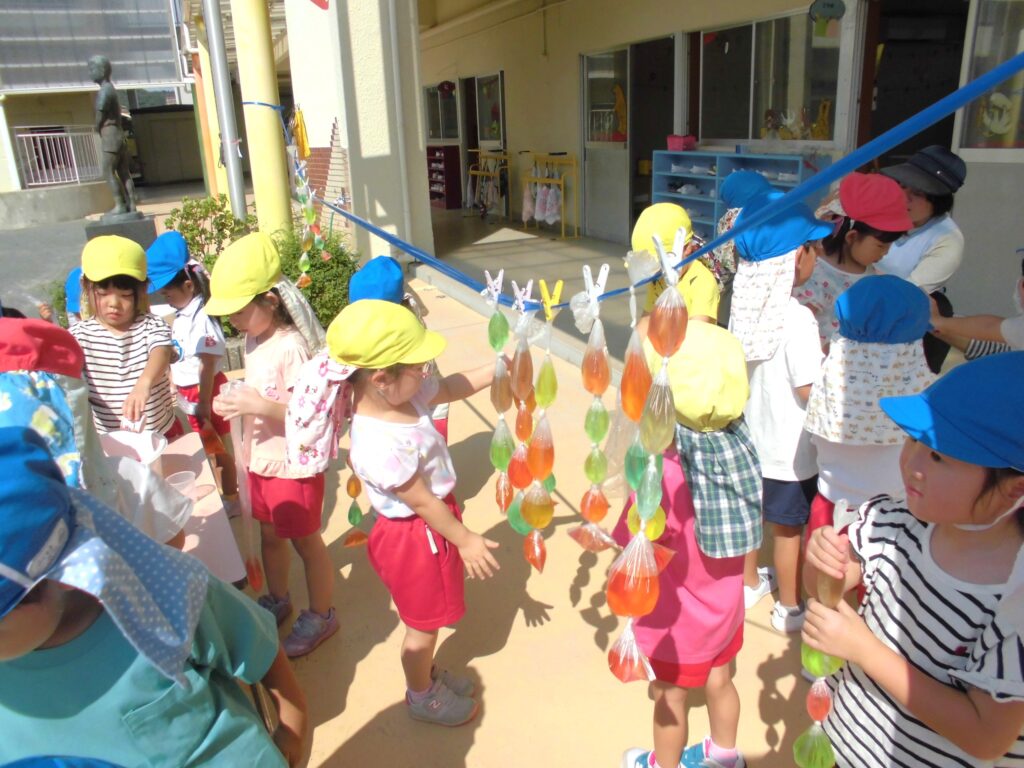 まふみ幼稚園のブログ