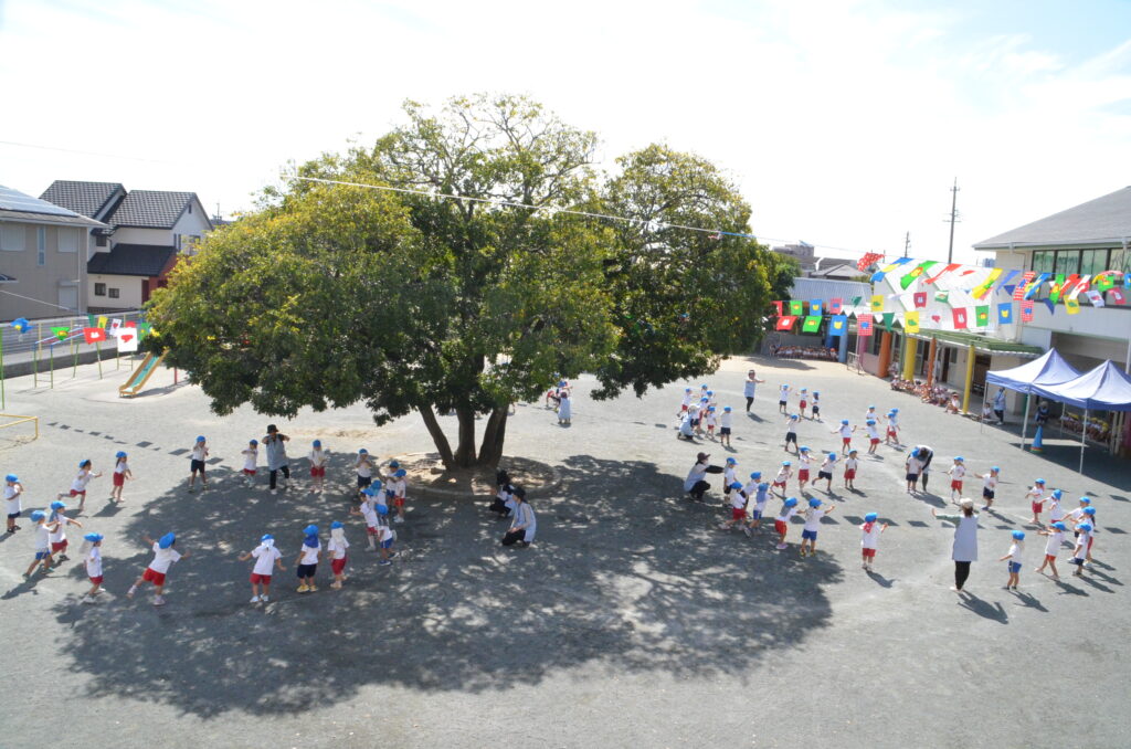 まふみ幼稚園のブログ