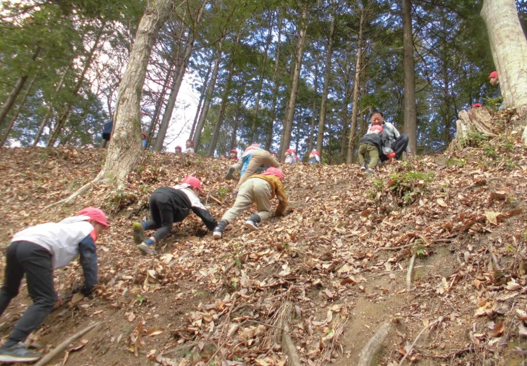 まふみ幼稚園のブログ